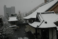 雪